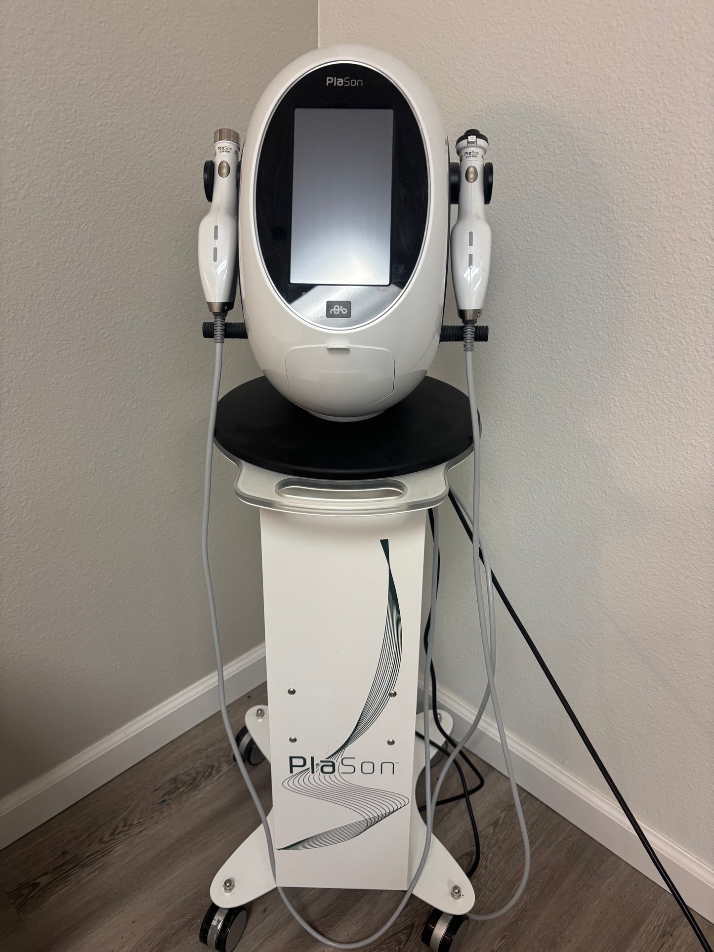 PlaSon: Plasma Poration (2022)